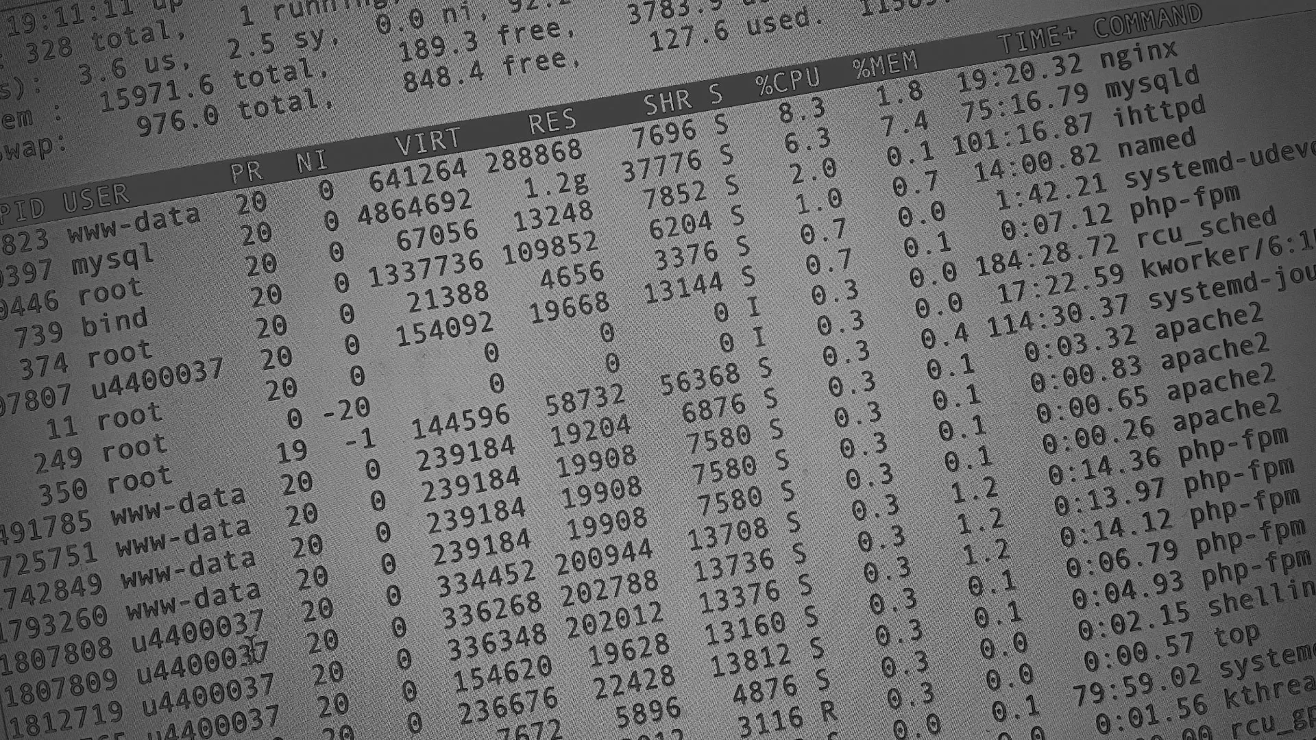 Настройка сервера в Можайске Настройка сервера в Можайске