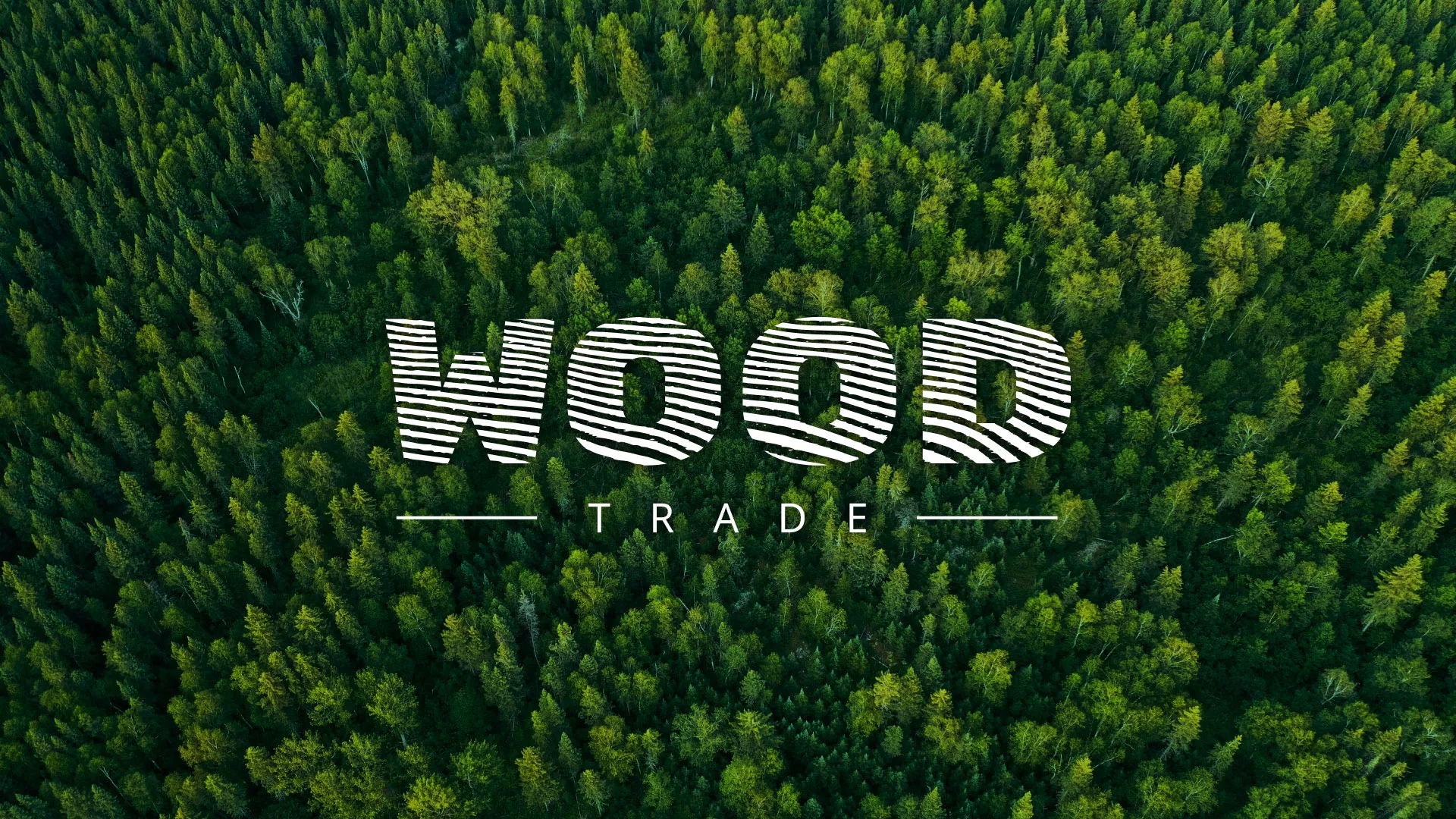 Разработка интернет-магазина компании «Wood Trade» в Можайске